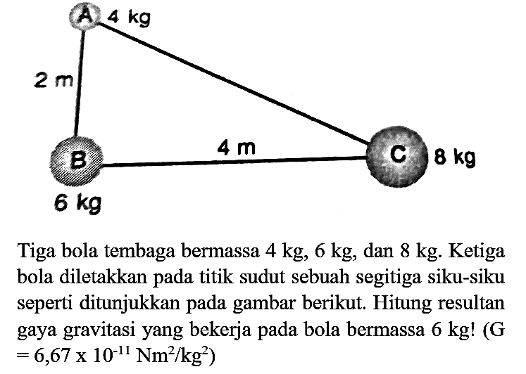 A 4 kg 2 m B 6 kg 4 m C 8 kg
Tiga bola tembaga bermassa  4 kg, 6 kg, dan 8 kg. Ketiga bola diletakkan pada titik sudut sebuah segitiga siku-siku seperti ditunjukkan pada gambar berikut. Hitung resultan gaya gravitasi yang bekerja pada bola bermassa 6 kg! (G=6,67 x 10^(-11) Nm^2/kg^2)