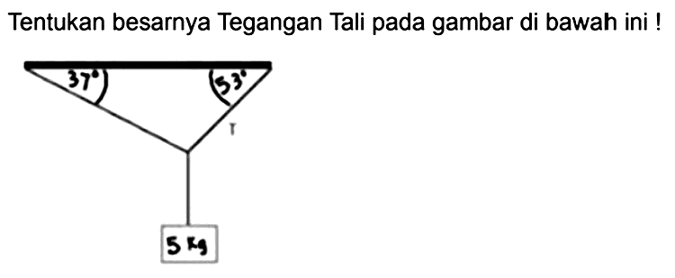 Tentukan besarnya Tegangan Tali pada gambar di bawah ini !