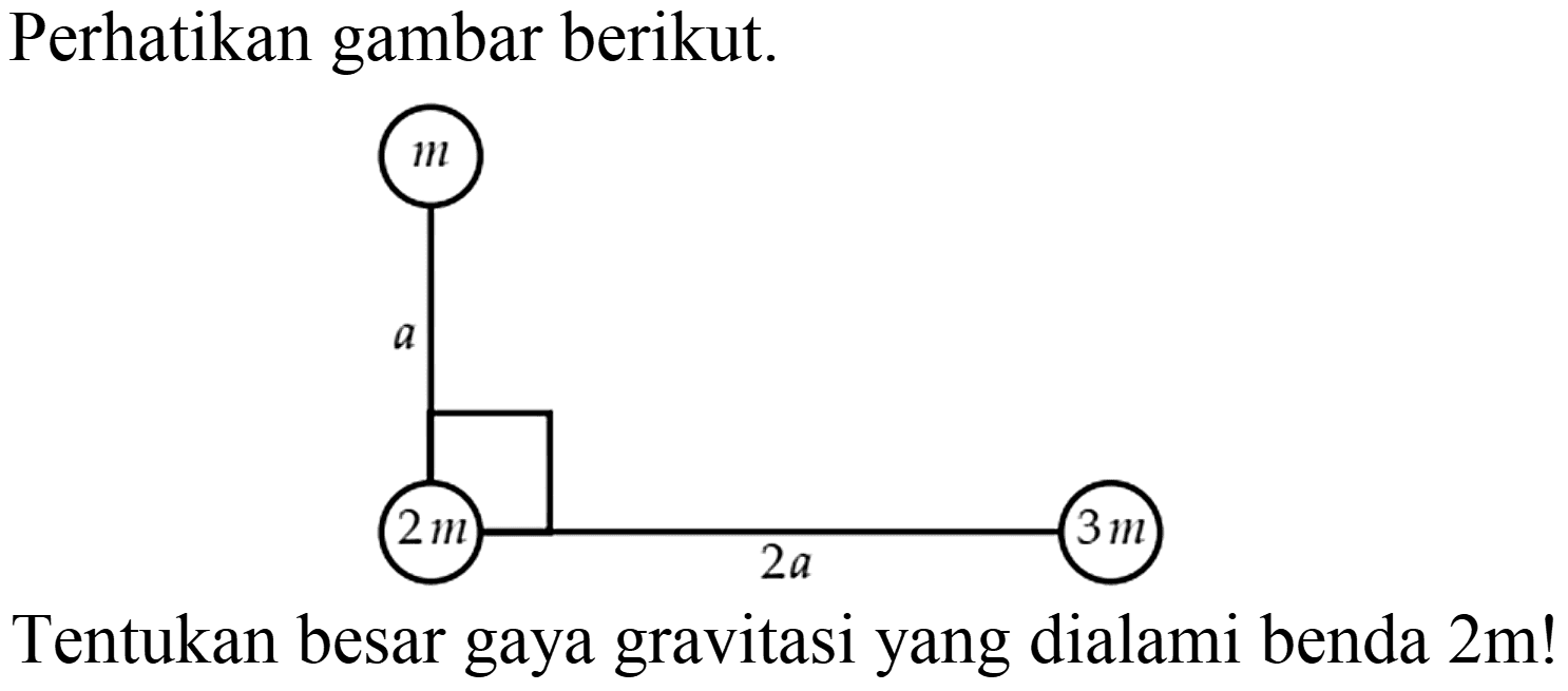 Perhatikan gambar berikut.
m a 2 m 2 a 3 m
Tentukan besar gaya gravitasi yang dialami benda  2 m  !