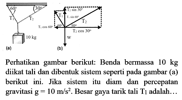 Perhatikan gambar berikut: Benda bermassa  10 kg  diikat tali dan dibentuk sistem seperti pada gambar (a) berikut ini. Jika sistem itu diam dan percepatan gravitasi  g=10 m / s^(2) . Besar gaya tarik tali  T_(1)  adalah...