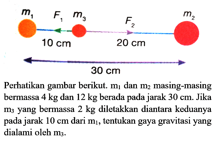 Perhatikan gambar berikut.  m_(1)  dan  m_(2)  masing-masing bermassa  4 kg  dan  12 kg  berada pada jarak  30 cm . Jika  m_(3)  yang bermassa  2 kg  diletakkan diantara keduanya pada jarak  10 cm  dari  m_(1) , tentukan gaya gravitasi yang dialami oleh  m_(3) .