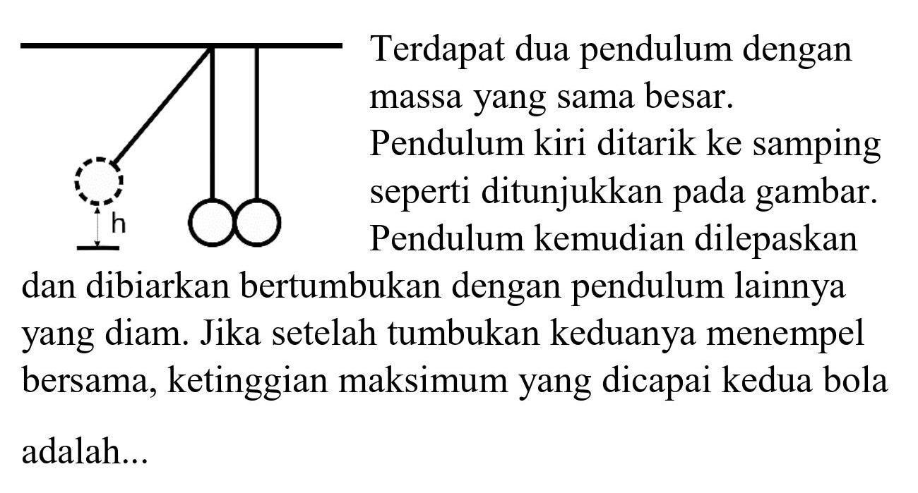 Terdapat dua pendulum dengan
massa yang sama besar.
Pendulum kiri ditarik ke samping
seperti ditunjukkan pada gambar.
Pendulum kemudian dilepaskan
dan dibiarkan bertumbukan dengan pendulum lainnya
bersama, ketinggian maksimum yang dicapai kedua bola
adalah...