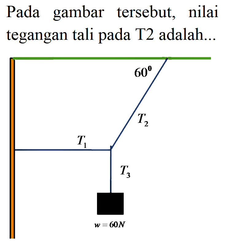 Pada gambar tersebut, nilai tegangan tali pada T2 adalah...