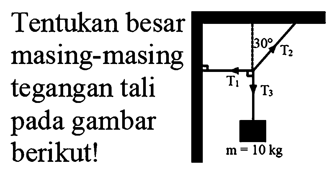 Tentukan besar masing-masing tegangan tali pada gambar berikut! 30 T2 T1 T3 m=10 kg