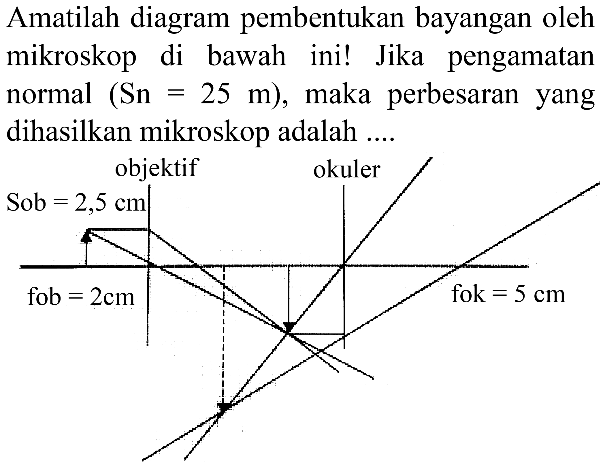 Amatilah diagram pembentukan bayangan oleh mikroskop di bawah ini! Jika pengamatan normal  (Sn=25 m) , maka perbesaran yang dihasilkan mikroskop adalah ....