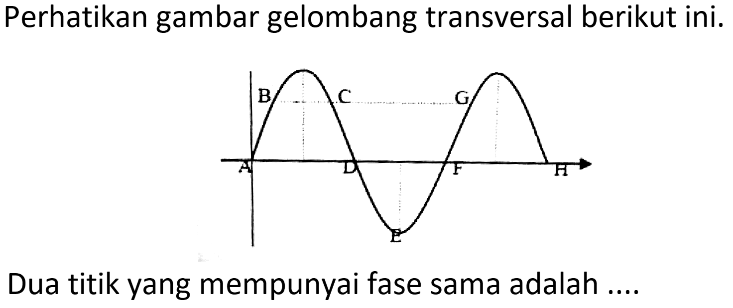 Perhatikan gambar gelombang transversal berikut ini.
Dua titik yang mempunyai fase sama adalah ....