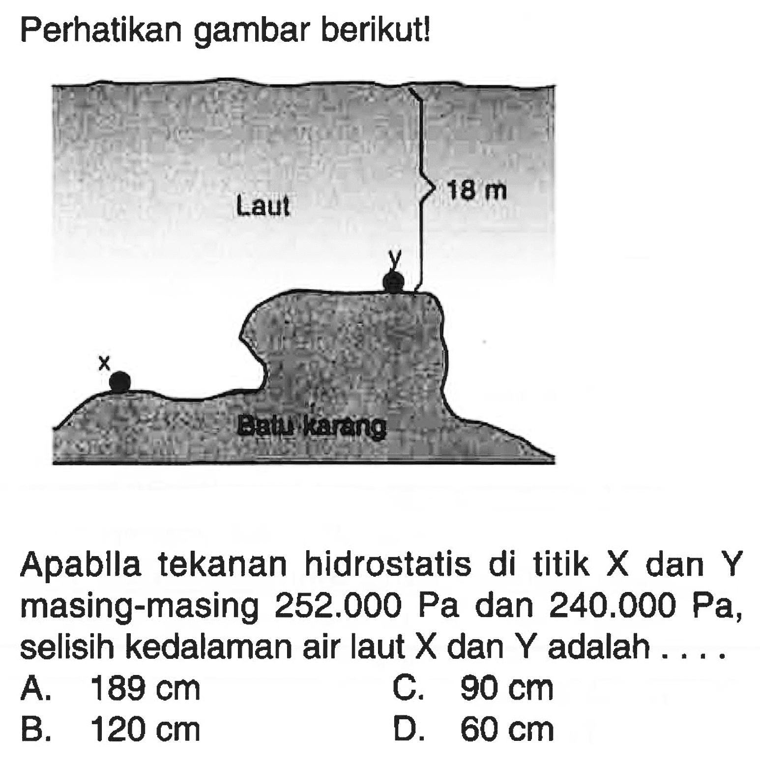 Perhatikan gambar berikut! Laut 18 m y x Batu karang Apablla tekanan hidrostatis di titik X dan Y masing-masing 252.000 Pa dan 240.000 Pa, selisih kedalaman air laut X dan Y adalah .... 