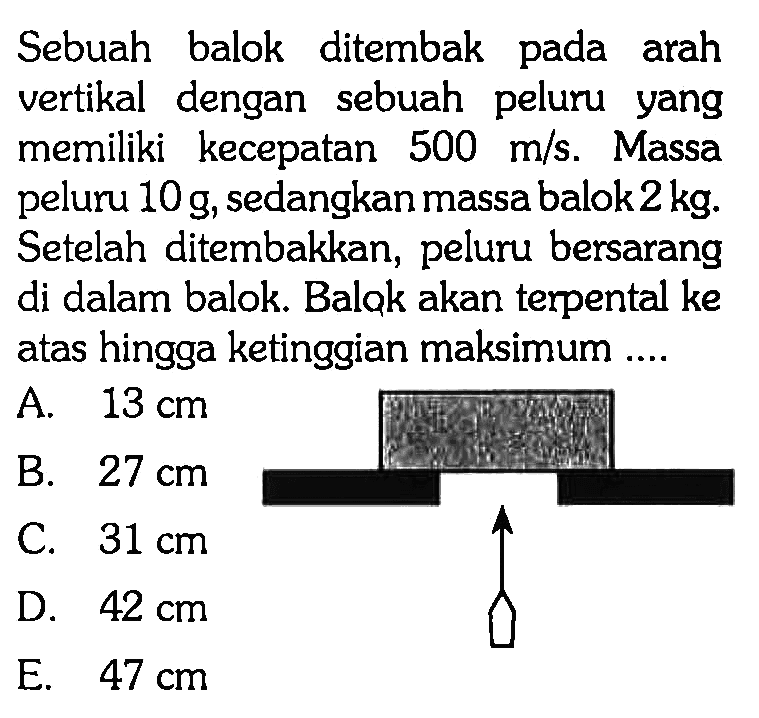 Sebuah balok ditembak pada arah vertikal dengan sebuah peluru yang memiliki kecepatan 500 m/s. Massa peluru 10 g, sedangkan massa balok 2 kg. Setelah ditembakkan, peluru bersarang di dalam balok. Balok akan terpental ke atas hingga ketinggian maksimum ....