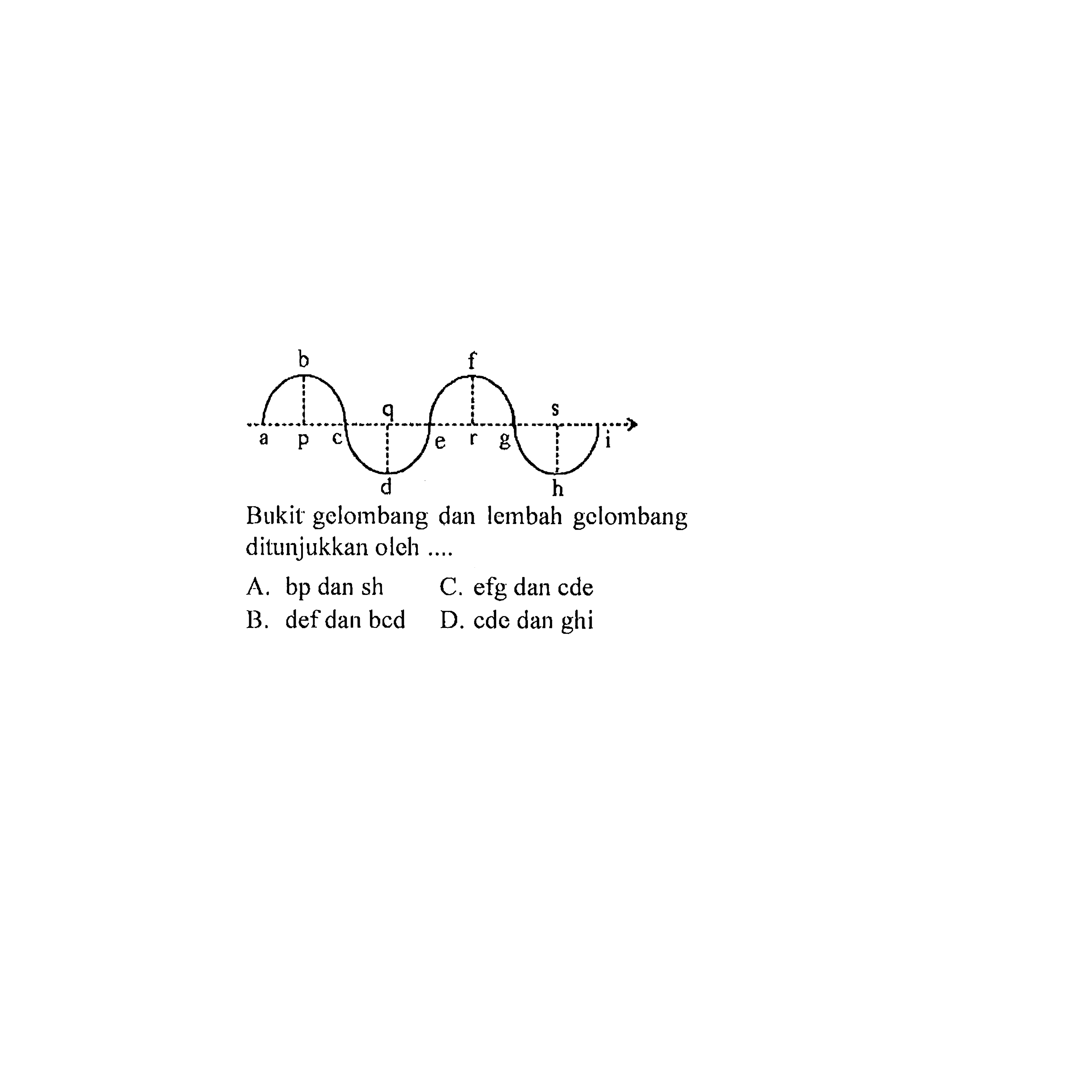 a b p c d q e f e g h s i 
Bukit gelombang dan lembah gelombang ditunjukkan oleh .... 
A. bp dan sh C. efg dan cde B. def dan bed D. cde dan ghi