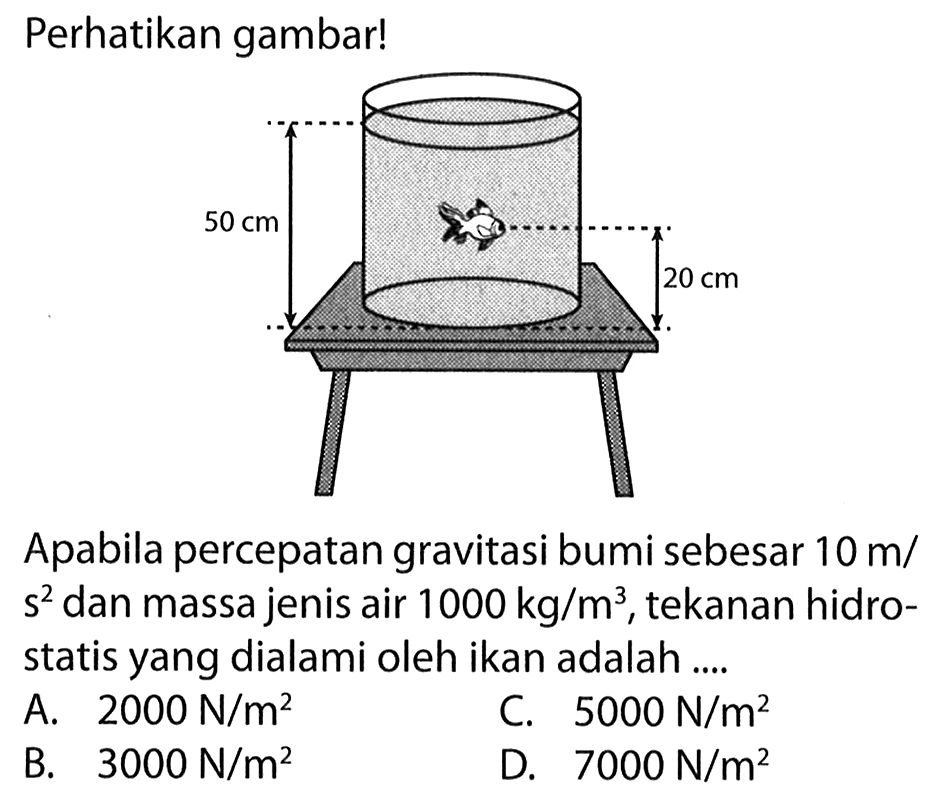 Perhatikan gambar!Apabila percepatan gravitasi bumi sebesar 10 m/ s^2 dan massa jenis air 1000 kg/m^3, tekanan hidrostatis yang dialami oleh ikan adalah ....