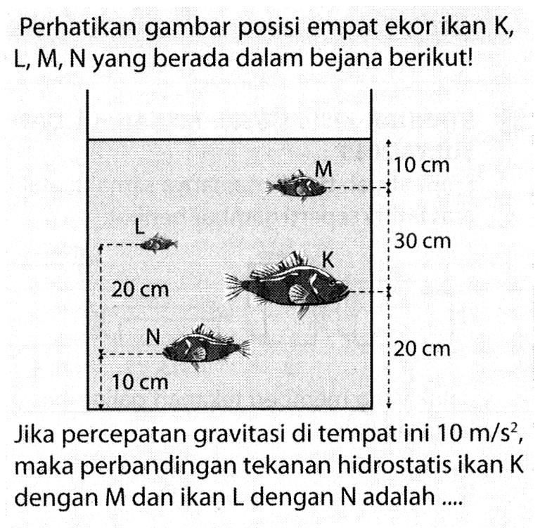 Perhatikan gambar posisi empat ekor ikan K, L, M, N yang berada dalam bejana berikut! Jika percepatan gravitasi di tempat ini 10 m/s^2, maka perbandingan tekanan hidrostatis ikan K dengan M dan ikan L dengan N adalah .... 10 cm 30 cm 20 cm 10 cm 20 cm