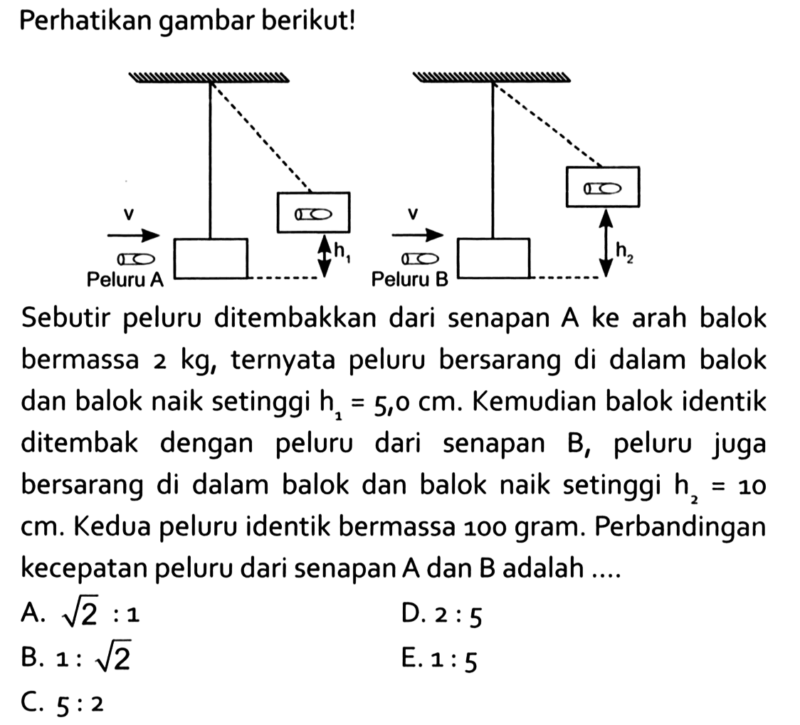 Perhatikan gambar berikut!Sebutir peluru ditembakkan dari senapan A ke arah balok bermassa  2 kg , ternyata peluru bersarang di dalam balok dan balok naik setinggi  h1=5,0 cm . Kemudian balok identik ditembak dengan peluru dari senapan B, peluru juga bersarang di dalam balok dan balok naik setinggi h2=10 cm. Kedua peluru identik bermassa 100 gram. Perbandingan kecepatan peluru dari senapan  A  dan B adalah ....