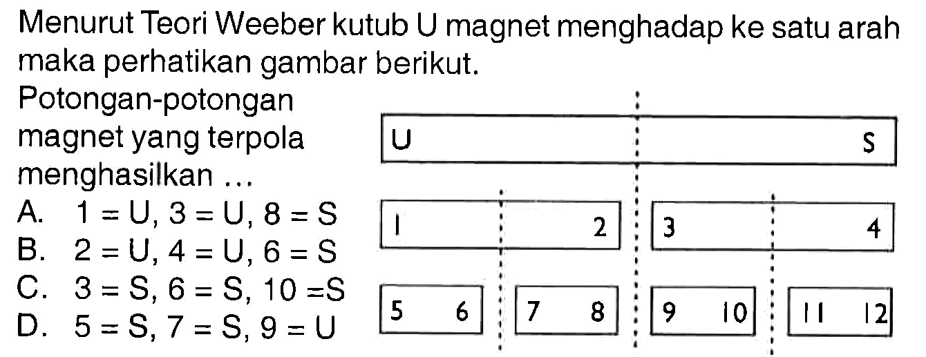 Menurut Teori Weeber kutub U magnet menghadap ke satu arah maka perhatikan gambar berikut.
Potongan-potongan magnet yang terpola menghasilkan...
U   S
1 2 3 4
5 6 7 8 9 10 11 12

