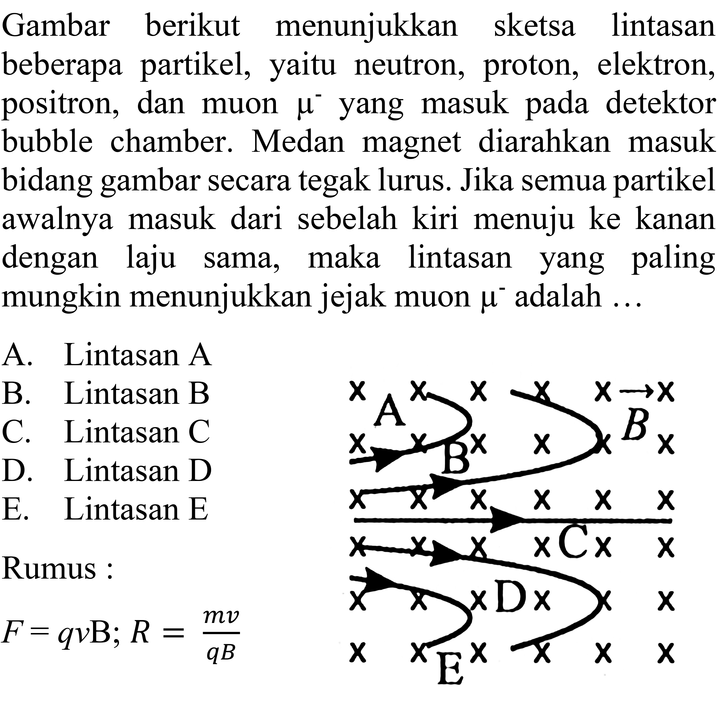 Gambar berikut menunjukkan sketsa lintasan beberapa partikel, yaitu neutron, proton, elektron, positron, dan muon mu^(-) yang masuk pada detektor bubble chamber. Medan magnet diarahkan masuk bidang gambar secara tegak lurus. Jika semua partikel awalnya masuk dari sebelah kiri menuju ke kanan dengan laju sama, maka lintasan yang paling mungkin menunjukkan jejak muon mu^(-) adalah ... x x x x x x x A x x x x B x x x B x x x x x x x x C x x x x x D x x x x x E x x x x Rumus:F=qvB; R=(mv)/(qb)