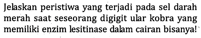 Jelaskan peristiwa yang terjadi pada sel darah merah saat seseorang digigit ular kobra yang memiliki enzim lesitinase dalam cairan bisanya!