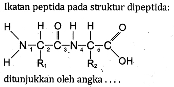 Ikatan peptida pada struktur dipeptida: 
H - N 1 - C 2 - C 3 - N 4 - C 5 - C = O H O H H H R1 R2 OH 
ditunjukkan oleh angka ....