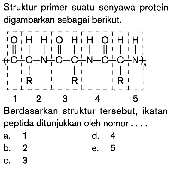 Struktur primer suatu senyawa protein digambarkan sebagai berikut.
C - C - N - C - C - N - C - C - N O H R H O H H O H R H Berdasarkan struktur tersebut, ikatan peptida ditunjukkan oleh nomor .... 