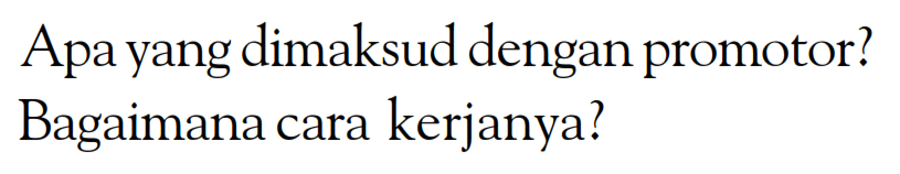 Apa yang dimaksud dengan promotor? Bagaimana cara kerjanya?