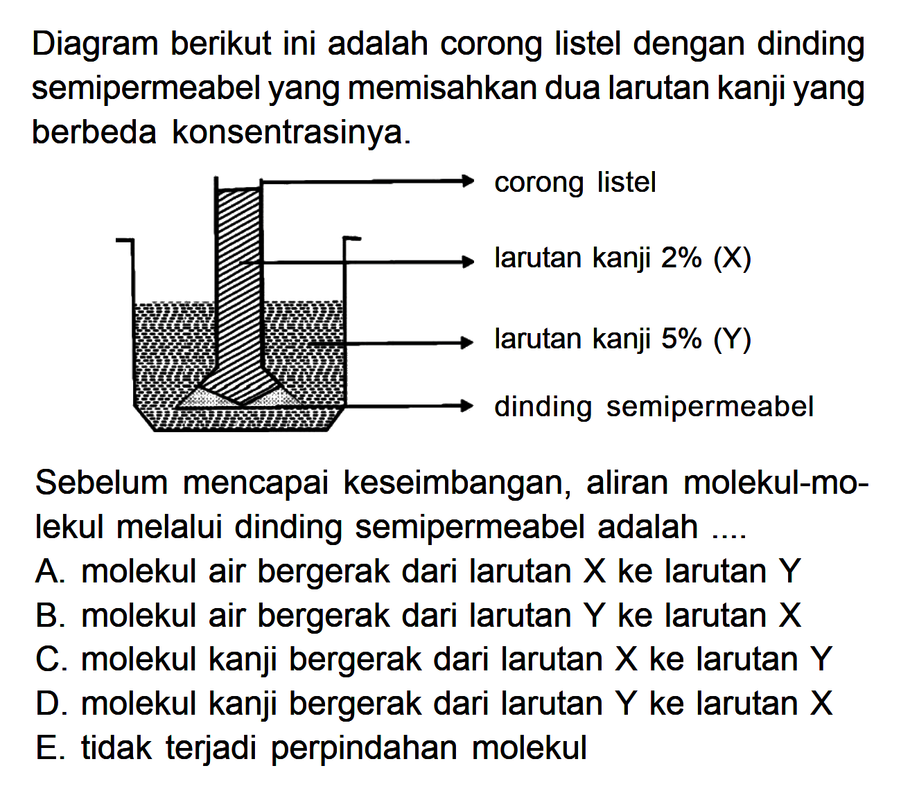 Diagram berikut ini adalah corong listel dengan dinding semipermeabel yang memisahkan dua larutan kanji yang berbeda konsentrasinya. corong listel larutan kanji 2% (X) larutan kanji 5% (Y) dinding semipermeabel Sebelum mencapai keseimbangan, aliran molekul-molekul melalui dinding semipermeabel adalah .... A. molekul air bergerak dari larutan  X  ke larutan  Y  B. molekul air bergerak dari larutan  Y  ke larutan  X  C. molekul kanji bergerak dari larutan  X  ke larutan  Y  D. molekul kanji bergerak dari larutan  Y  ke larutan  X  E. tidak terjadi perpindahan molekul