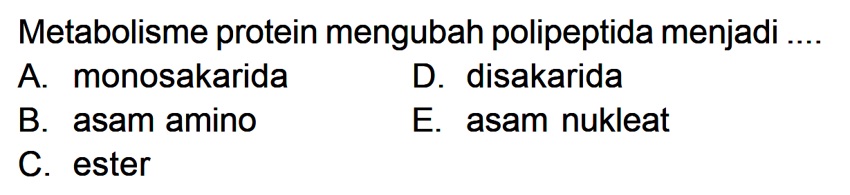 Metabolisme protein mengubah polipeptida menjadi ....
