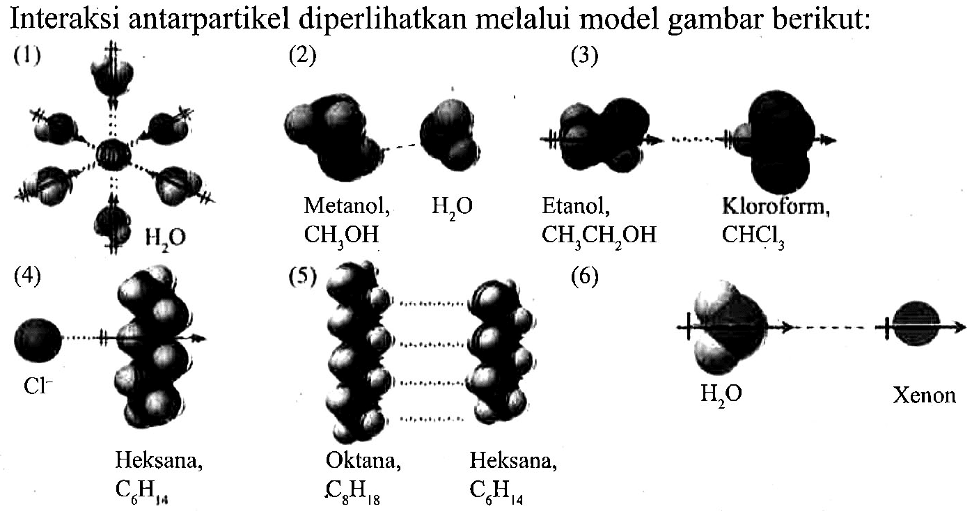 Interaksi antarpartikel diperlihatkan melalui model gambar berikut:
(1) H2O (2) Metanol CH3OH H2O (3) Etanol, CH3CH2OH Kloroform, CHCL3 (4) Cl^- Heksana, C6H14 (5) Oktana, C8H18 Heksana, C6H14 (6) H2O Xenon 