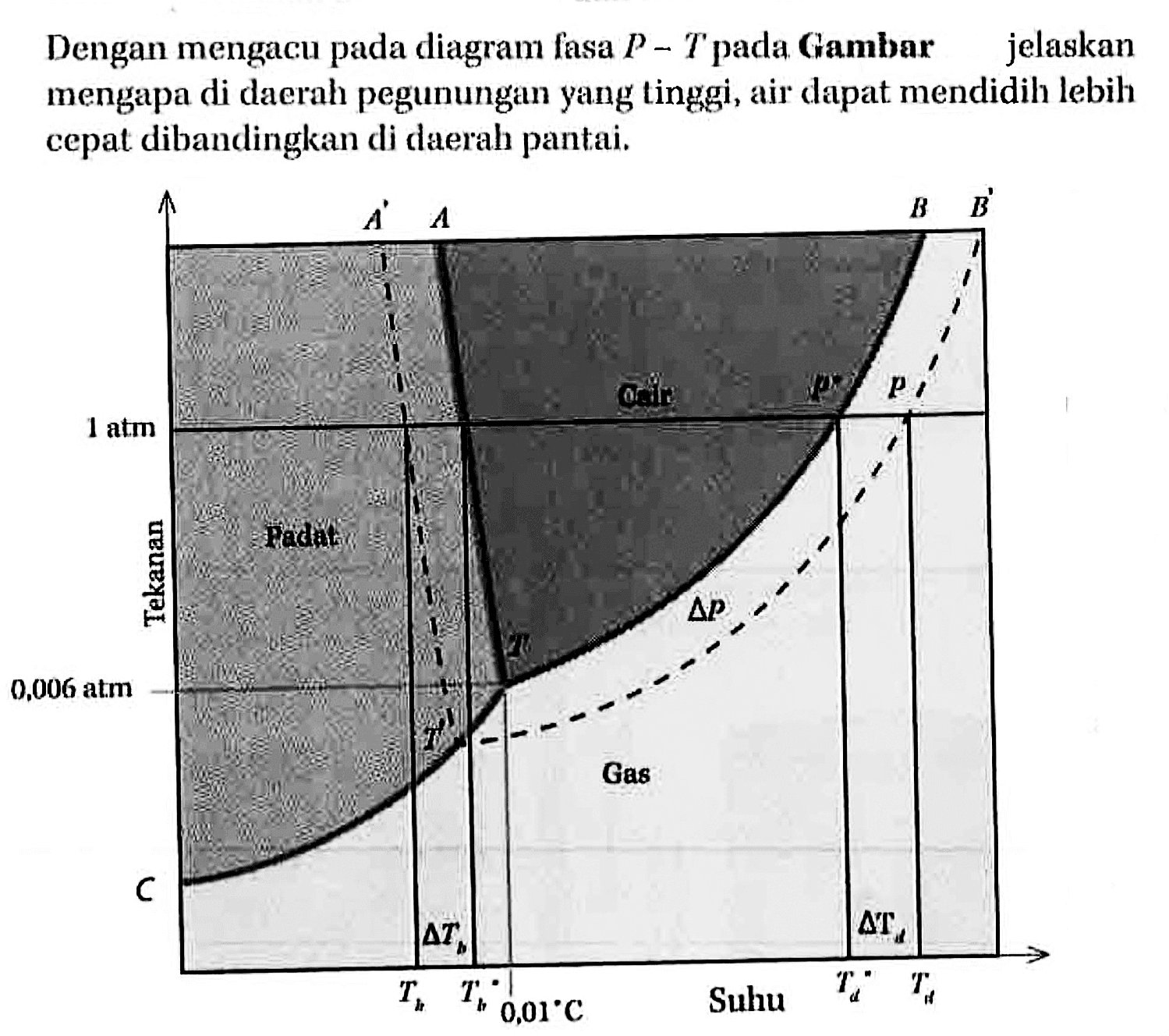 Dengan mengacu pada diagram fasa P - T pada Gambar jelaskan mengapa di daerah pegunungan yang tinggi, air dapat mendidih lebih cepat dibandingkan di daerah pantai. A' A B B' 1 atm Cair p' p Tekanan Padat T delta P 0,006 atm T' C Gas delta Tb Tb Tb' 0,01 C delta Td Suhu Td' Td 