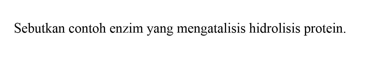 Sebutkan contoh enzim yang mengatalisis hidrolisis protein.