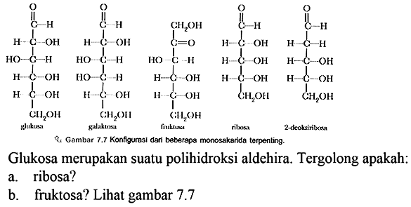 glukosa galaktosa fruktosa ribosa 2-deoksiribosa

Gambar 7.7 Konfigurasi dan beberapa monosakarida terpenting.

Glukosa merupakan suatu polihidroksi aldehira. Tergolong apakah:
a. ribosa?
b. fruktosa? Lihat gambar 7.7 