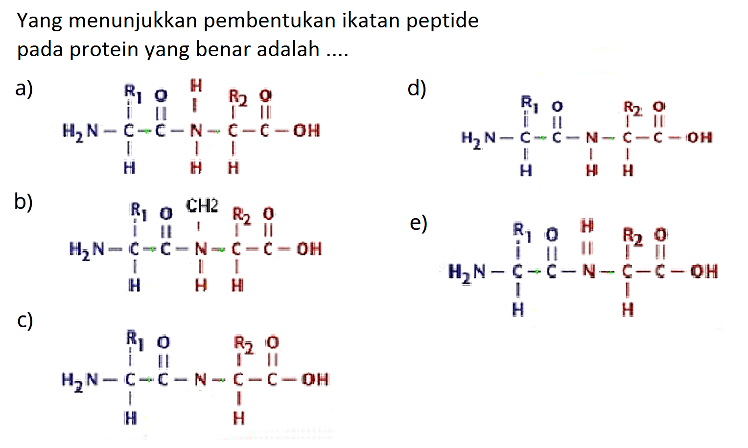 Yang menunjukkan pembentukan ikatan peptide pada protein yang benar adalah ....
a) H2N-C-C-N-C-C-OH H H H R1 O H R2 O 
d) H2N-C-C-N-C-C-OH H H H R1 O R2 O
b) H2N-C-C-N-C-C-OH H H H R1 O R2 O CH2
e) H2N-C-C-N-C-C-OH H H R1 O R2 O H
c) H2N-C-C-N-C-C-OH H H R1 O R2 O
