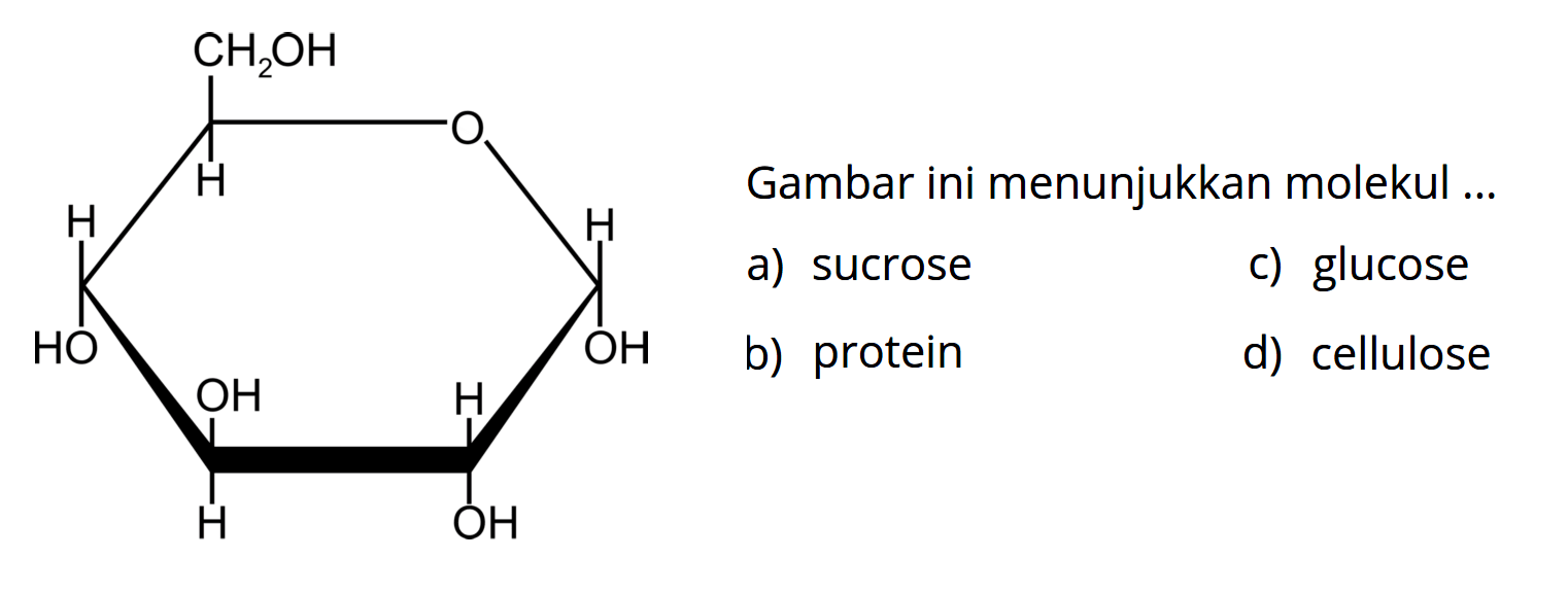 CH2OH H H OH OH H H OH H OH O Gambar ini menunjukkan molekul ...