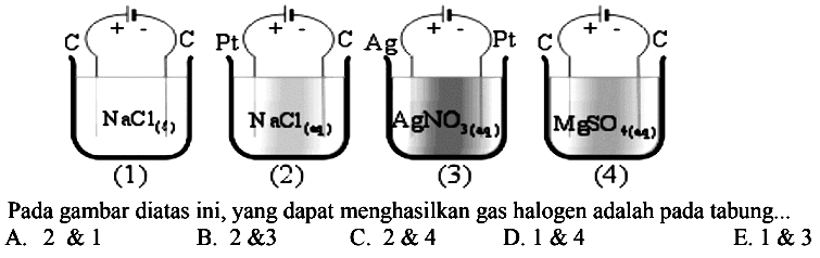 C + - C NaCl (s) (1) Pt + - C NaCl (aq) (2) Ag + - Pt AgNO3(aq) (3) C + - C MgSO4 (aq) (4) Pada gambar diatas ini, yang dapat menghasilkan gas halogen adalah pada tabung....
