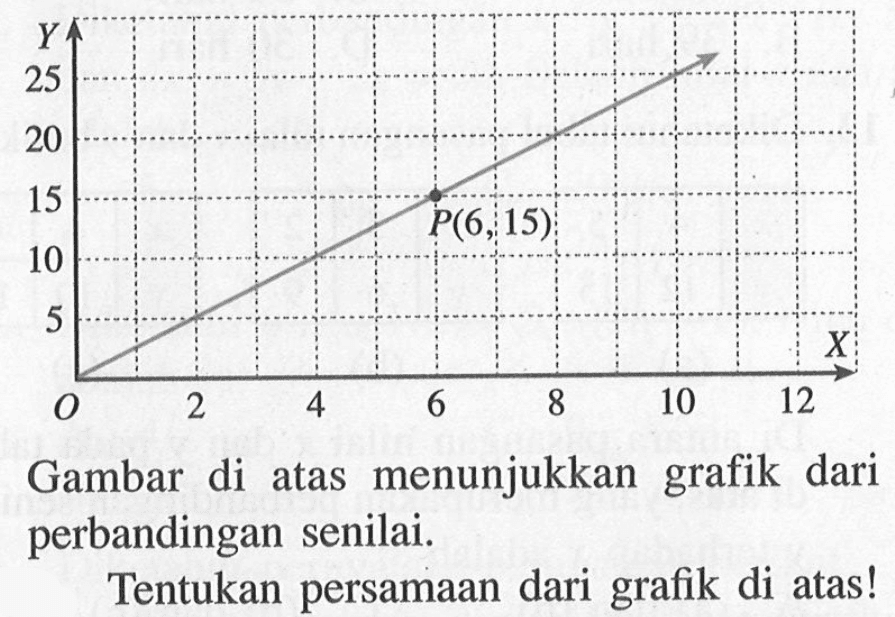 Gambar di atas menunjukkan grafik dari perbandingan senilai.Tentukan persamaan dari grafik di atas!