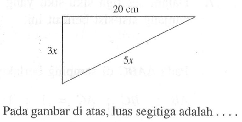 20 cm 3x 5x Pada gambar di atas, luas segitiga adalah .... 