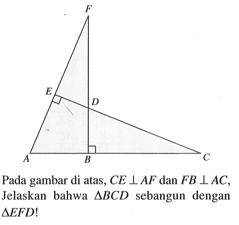 Pada gambar di atas, CE tegak lurus AF dan FB tegak lurus AC, Jelaskan bahwa segitiga BCD sebangun dengan segitiga EFD !