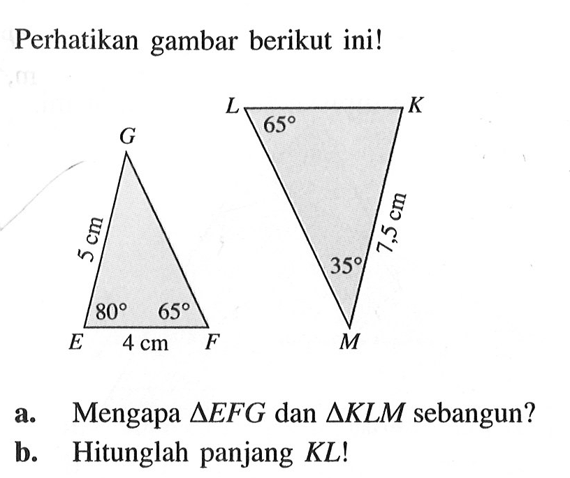 Perhatikan gambar berikut ini! E F G 4 cm 80 65 5 cm K L M 35 7,5 cm 65a. Mengapa  segitiga EFG dan segitiga KLM sebangun?b. Hitunglah panjang KL! 