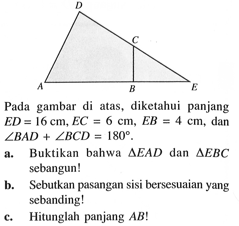 D C A B E Pada gambar di atas, diketahui panjang ED=16 cm, EC=6 cm, EB=4 cm, dan sudut BAD+sudut BCD=180. a. Buktikan bahwa segitiga EAD dan segitiga EBC sebangun!b. Sebutkan pasangan sisi bersesuaian yang sebanding!c. Hitunglah panjang AB! 