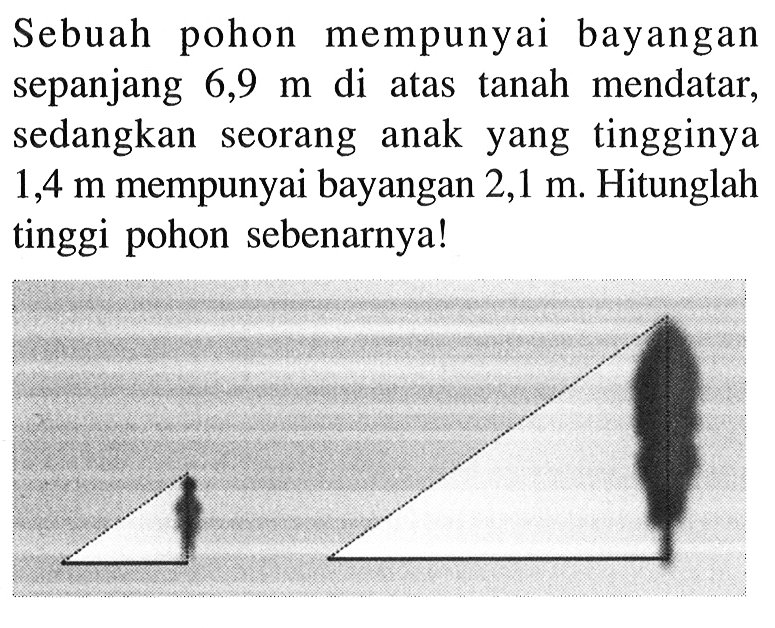 Sebuah pohon mempunyai bayangan sepanjang 6,9 m di atas tanah mendatar, sedangkan seorang anak yang tingginya 1,4 m mempunyai bayangan 2,1 m. Hitunglah tinggi pohon sebenarnya!