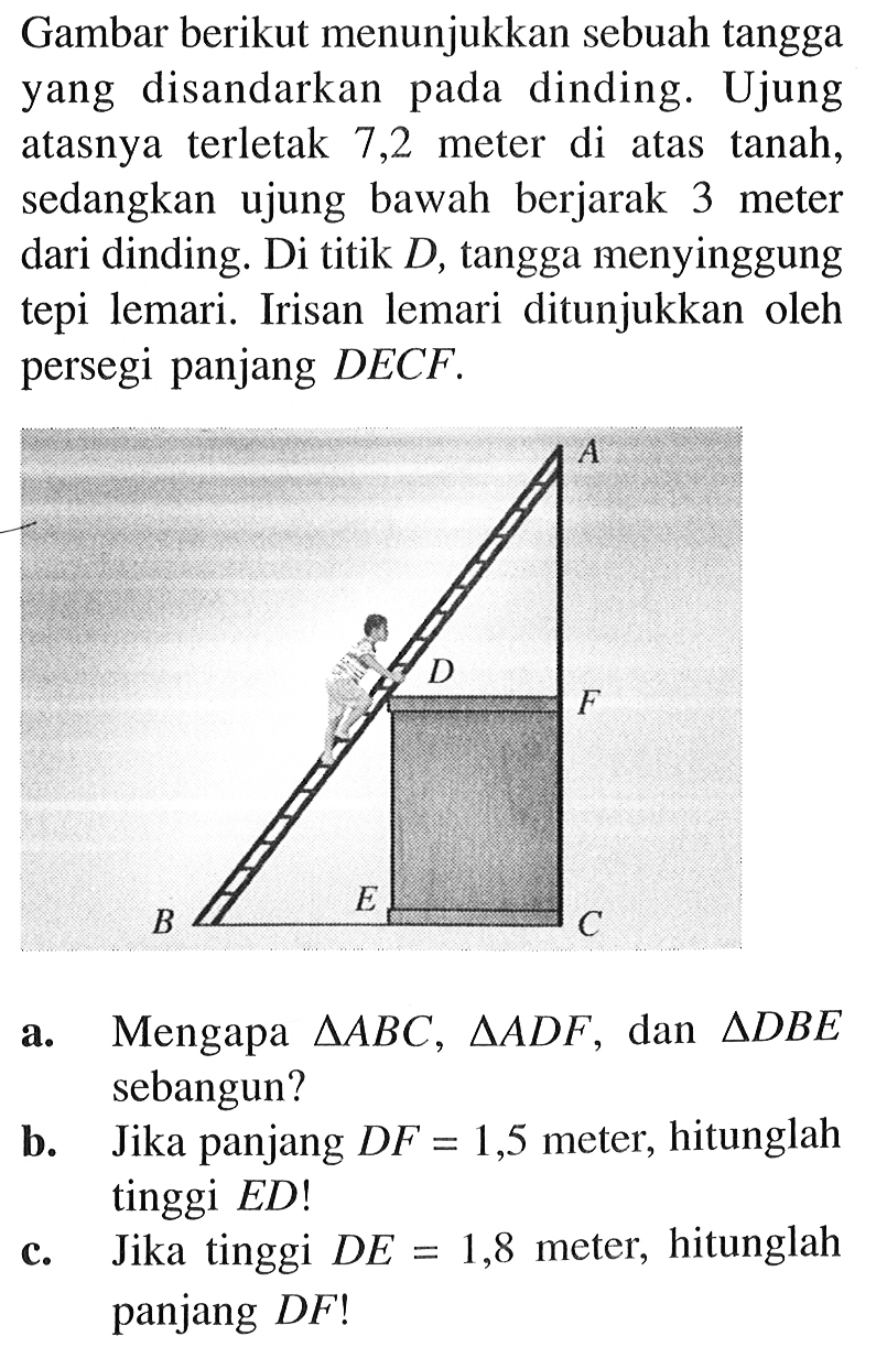 Gambar berikut menunjukkan sebuah tangga yang disandarkan pada dinding. Ujung atasnya terletak 7,2 meter di atas tanah, sedangkan ujung bawah berjarak 3 meter dari dinding. Di titik D, tangga menyinggung tepi lemari. Irisan lemari ditunjukkan oleh persegi panjang D E C F. a. Mengapa segitiga ABC, segitiga ADF, dan segitiga DBE sebangun?b. Jika panjang DF=1,5 meter, hitunglah tinggi ED!c. Jika tinggi DE=1,8 meter, hitunglah panjang DF !