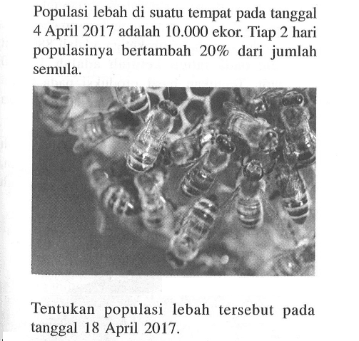 Populasi lebah di suatu tempat pada tanggal 4 April 2017 adalah  10.000 ekor. Tiap 2 hari populasinya bertambah 20% dari jumlah semula. Tentukan populasi lebah tersebut pada tanggal 18 April  2017 . 