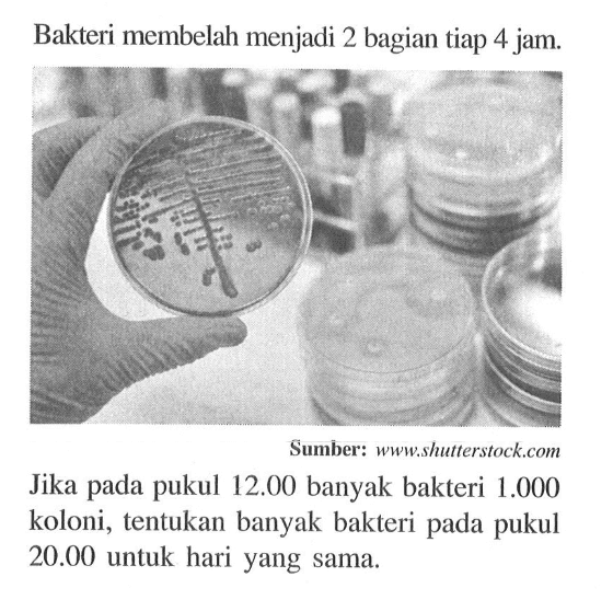 Bakteri membelah menjadi 2 bagian tiap 4 jam.Sumber: www.shuterstock.comJika pada pukul  12.00  banyak bakteri  1.000  koloni, tentukan banyak bakteri pada pukul 20.00 untuk hari yang sama. 