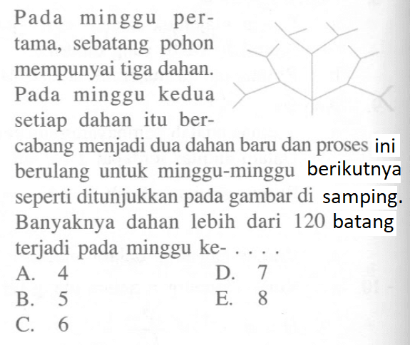 Pada minggu pertama, sebatang pohon mempunyai tiga dahan. Pada minggu kedua setiap dahan itu bercabang menjadi dua dahan baru dan proses ini berulang untuk minggu-minggu berikutnya seperti ditunjukkan pada gambar di samping. Banyaknya dahan lebih dari 120 batang terjadi pada minggu ke-  .... .