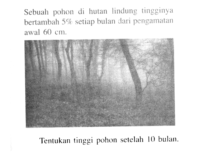 Sebuah pohon di hutan lindung tingginya bertambah 5% setiap bulan dari pengamatan awal 60 cm. Tentukan tinggi pohon setelah 10 bulan.