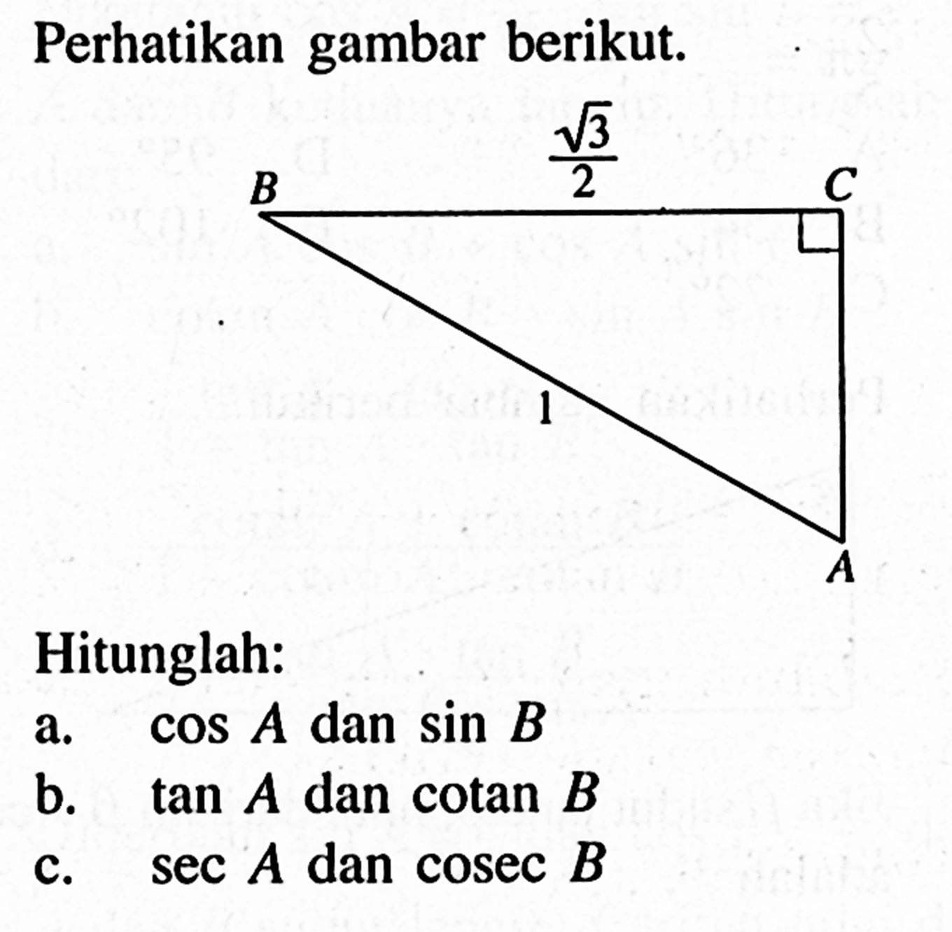 Perhatikan gambar berikut. B C A akar(3)/2 1 Hitunglah: a. cos A dan sin B b. tan A dan cotan B c. sec A dan cosec B