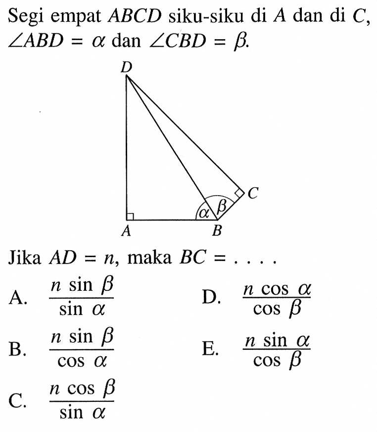 Segi empat ABCD siku-siku di A dan di C, sudut ABD=a dan sudut CBD=b  Jika AD=n, maka BC=....  A. (n sin beta)/(sin alpha) B. (n sin beta)/(cos alpha) C. (n cos beta)/(sin alpha) D. (n cos alpha)/(cos beta) E. (n sin alpha)/(cos beta) 