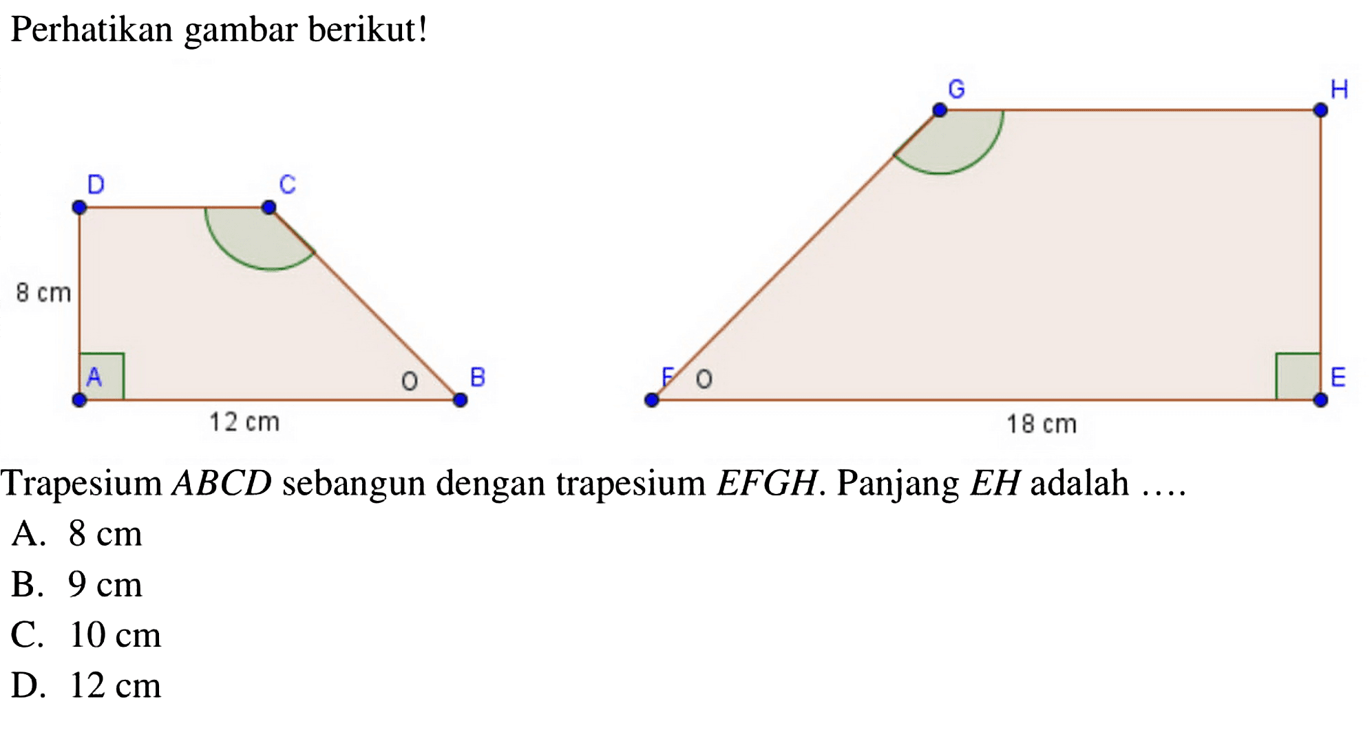 Perhatikan gambar berikut! 8 cm 12 cm 18 cm Trapesium ABCD sebangun dengan trapesium EFGH. Panjang EH adalah .... A. 8 cm 
B. 9 cm 
C. 10 cm 
D. 12 cm