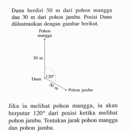 Danu berdiri  50 m  dari pohon mangga dan  30 m  dari pohon jambu. Posisi Danu diilustrasikan dengan gambar berikut. 50 m 120 30 m
Jika ia melihat pohon mangga, ia akan berputar  120  dari posisi ketika melihat pohon jambu. Tentukan jarak pohon mangga dan pohon jambu.