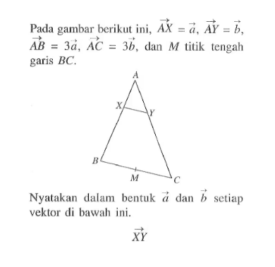 Pada gambar berikut ini, vektor AX=vektor a, vektor AY=vektor b, vektor AB=3 vektor a, vektor AC=3 vektor b, dan M titik tengah garis BC. Nyatakan dalam bentuk vektor a dan vektor b setiap vektor di bawah ini. vektor XY