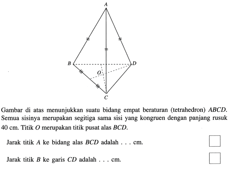 Gambar di atas menunjukkan suatu bidang empat beraturan (tetrahedron) ABCD. Semua sisinya merupakan segitiga sama sisi yang kongruen dengan panjang rusuk 40 cm. Titik O merupakan titik pusat alas BCD. Jarak titik A ke bidang alas BCD adalah ... cm. Jarak titik B ke garis CD adalah ... cm.