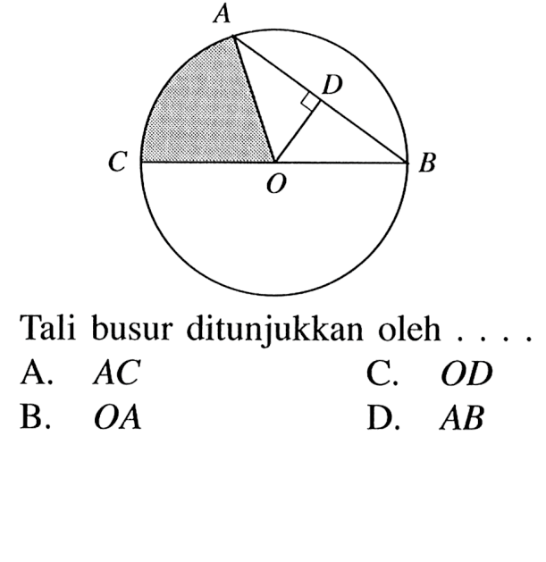 Tali busur ditunjukkan oleh ... .A.  AC 
C.  OD 
B.  OA 
D.  AB 