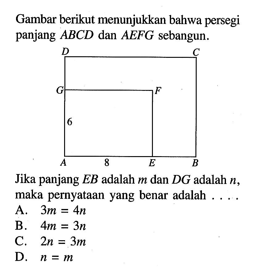 Gambar berikut menunjukkan bahwa persegi panjang  ABCD  dan  AEFG  sebangun.Jika panjang  EB  adalah  m  dan  DG  adalah  n, maka pernyataan yang benar adalah ....